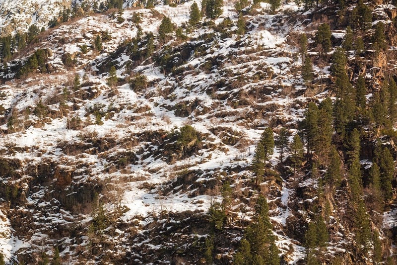 Drone capturing aerial view